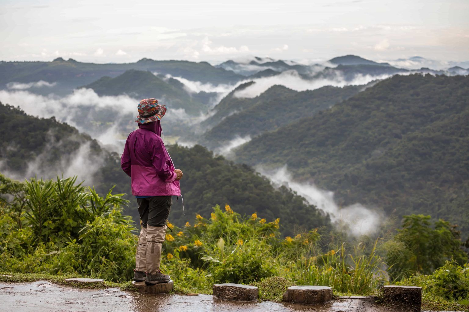 Person in purple jacket overlooks misty green mountains with a cloudy sky.