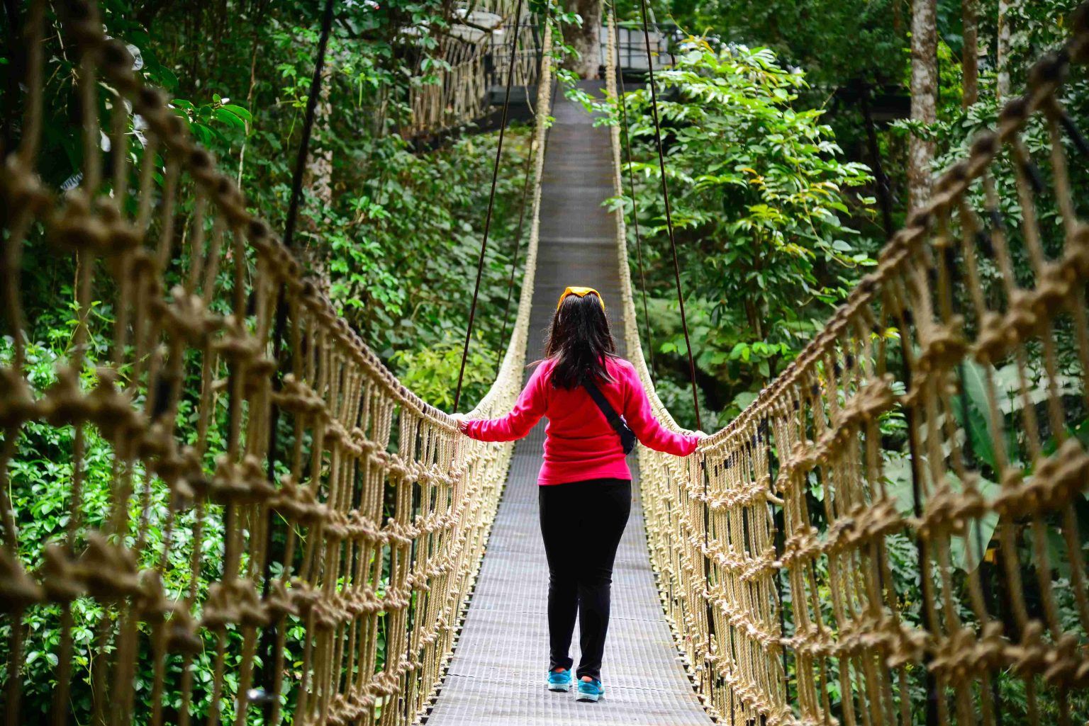 Woman in pink jacket walks across a suspended rope bridge in a dense green forest.